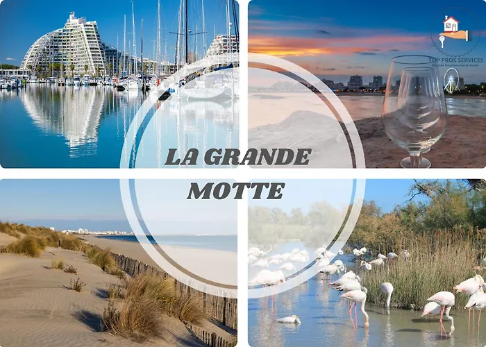 Le Cosy Wifi Clim Jardin Top Pros Servicesconciergerie Montpellier