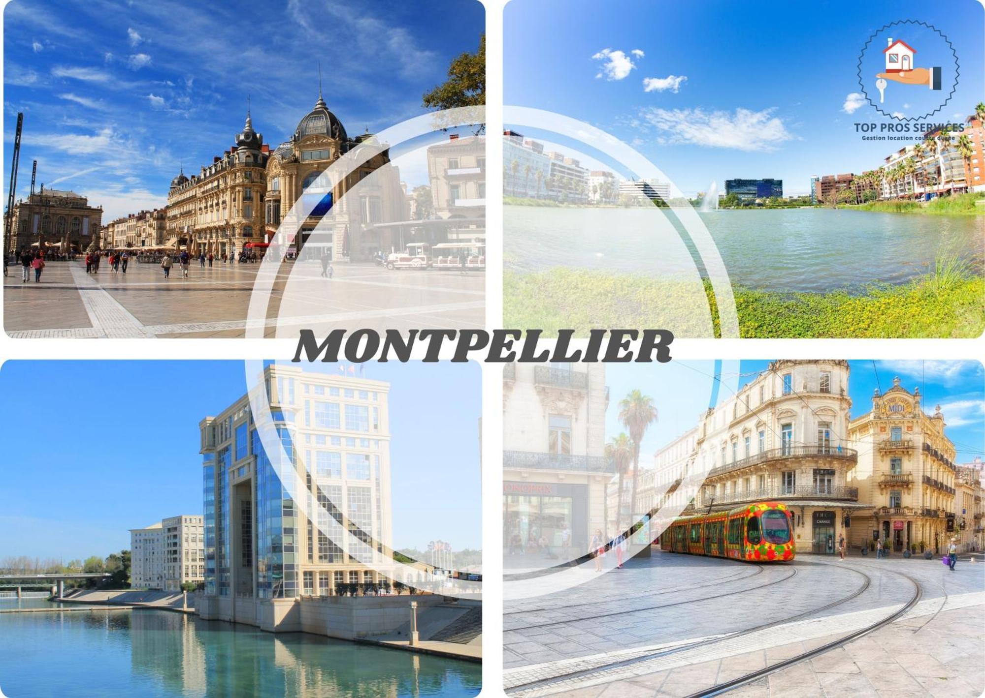 Appartement Le Cosy Wifi Clim Jardin Pros Servicesconciergerie Montpellier